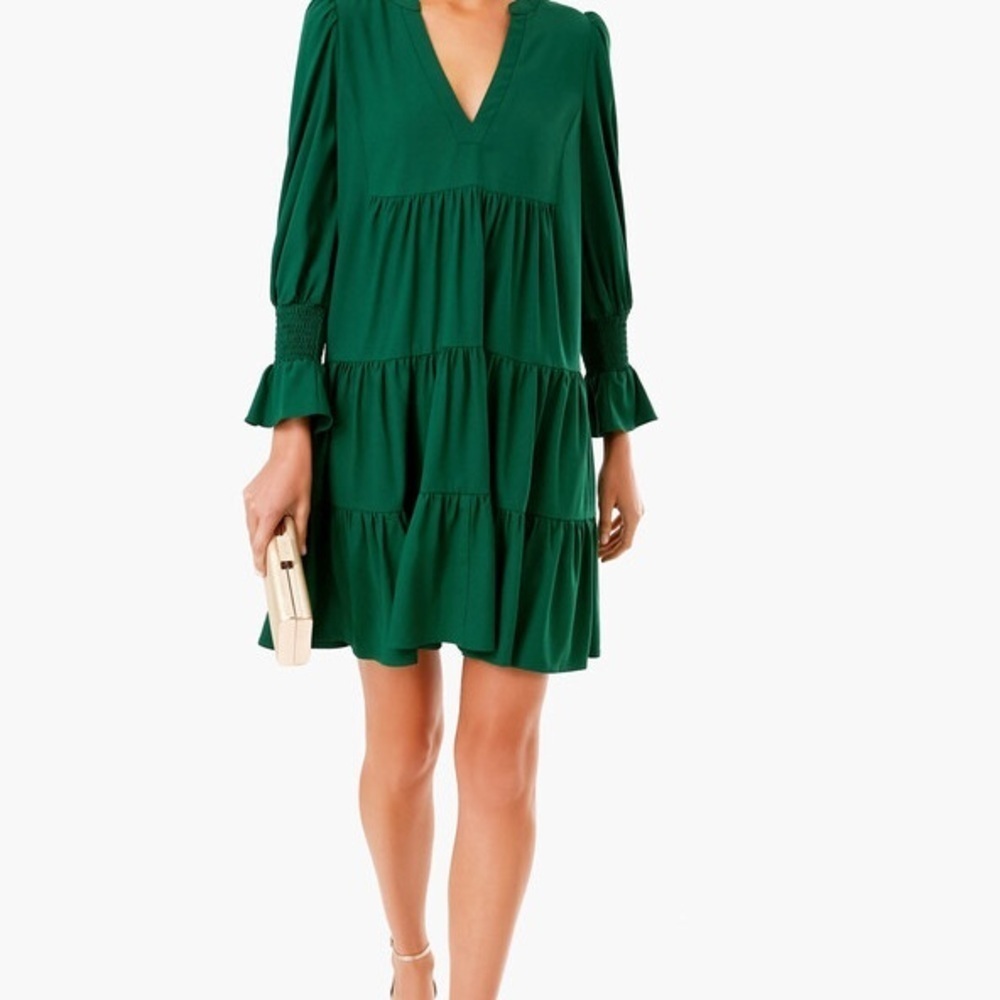 NEW Tuckernuck Pomander Place Kenzo Hunter Green Crepe Dress Long Sleeve xsmall - Picture 8 of 8